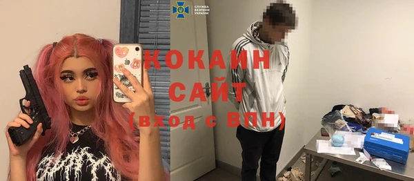 сатива Аркадак