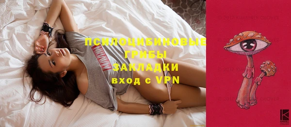 сатива Аркадак