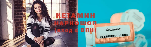 сатива Аркадак