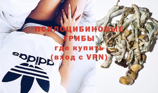 2c-b Слюдянка