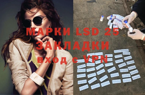сатива Аркадак