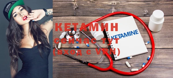 сатива Аркадак