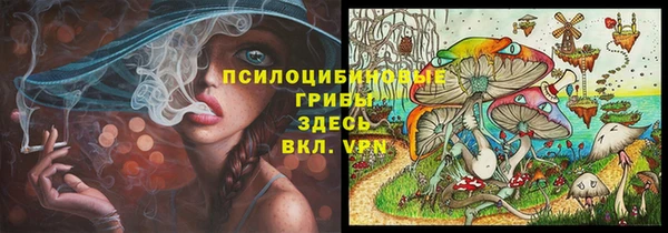 сатива Аркадак