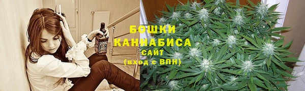 твердый Арсеньев