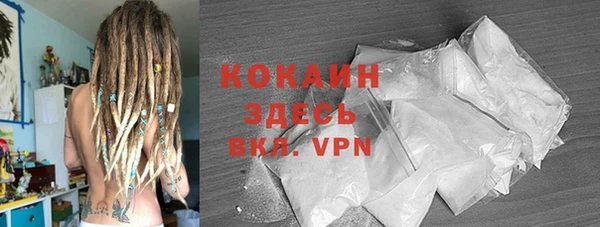твердый Арсеньев
