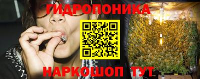 тгк Аргун