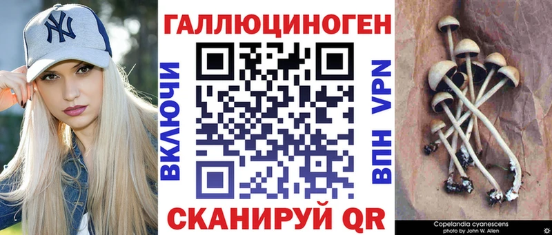 blacksprut вход  Белово  Галлюциногенные грибы ЛСД 