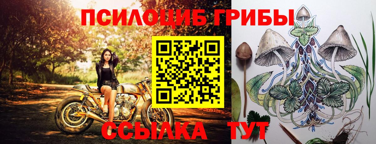 Галлюциногенные грибы MAGIC MUSHROOMS Белово