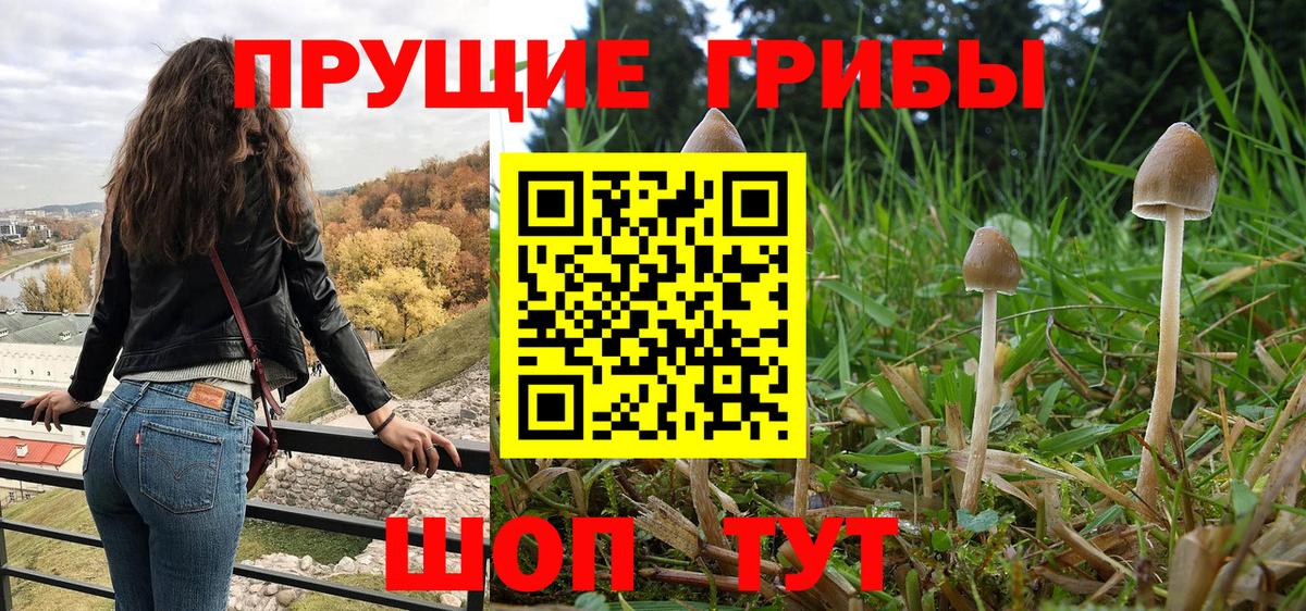 Галлюциногенные грибы прущие грибы  Вход с VPN  Белово 