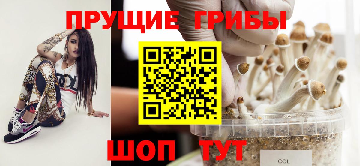 Конопля  ГАШ  Белово  Меф кристаллы  Магазины продажи наркотиков  Cocaine  Альфа ПВП СК кристаллы  МЕТАМФЕТАМИН 